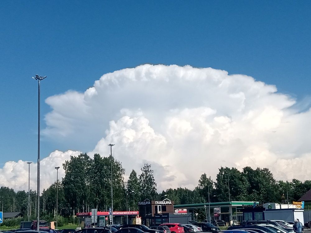 Воротник