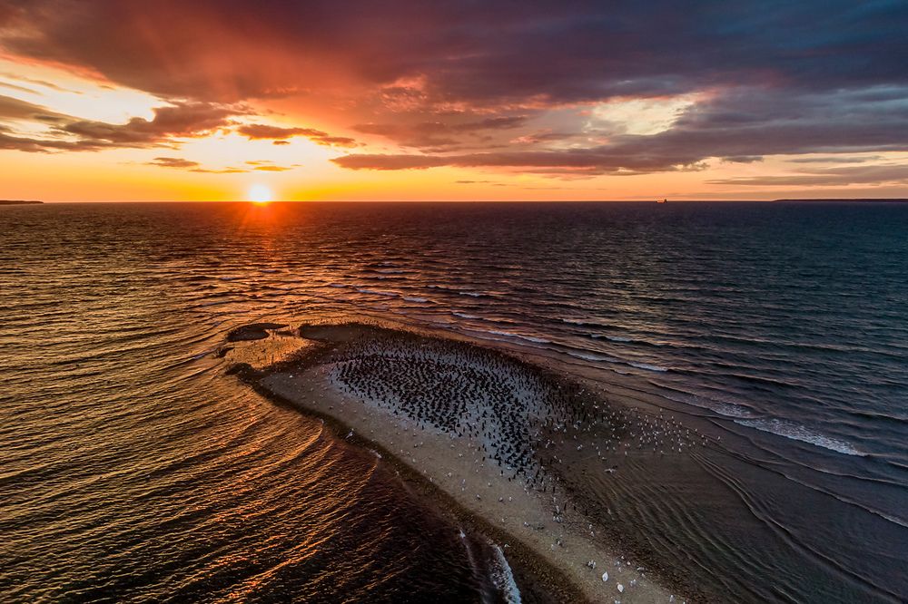 Photograph by Александр Абросимов