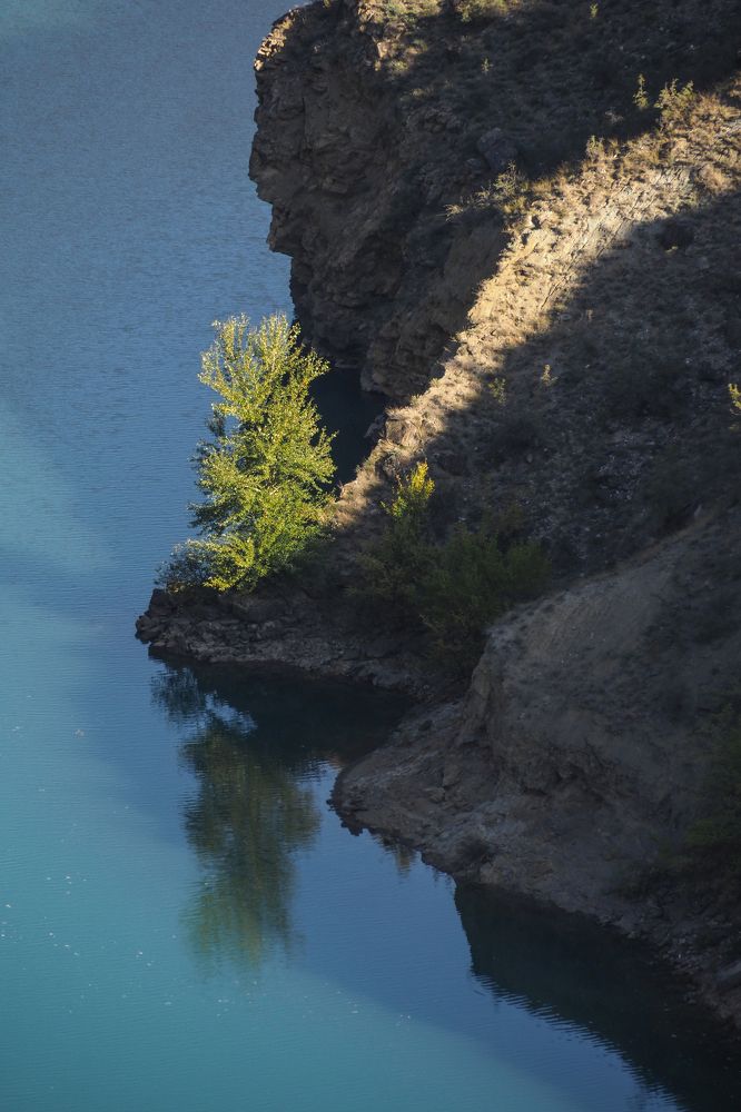 Photograph by Svetlana Guzeeva