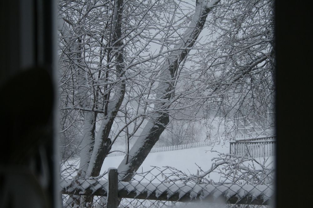 Фотография автора Марат Тагиров