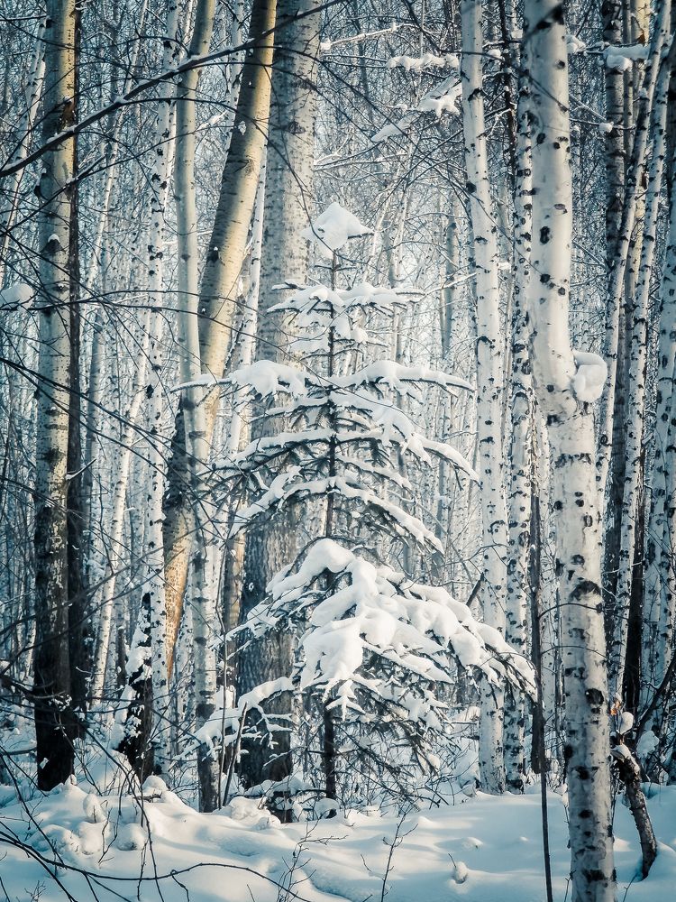 Photograph by Виктор Сёмушкин