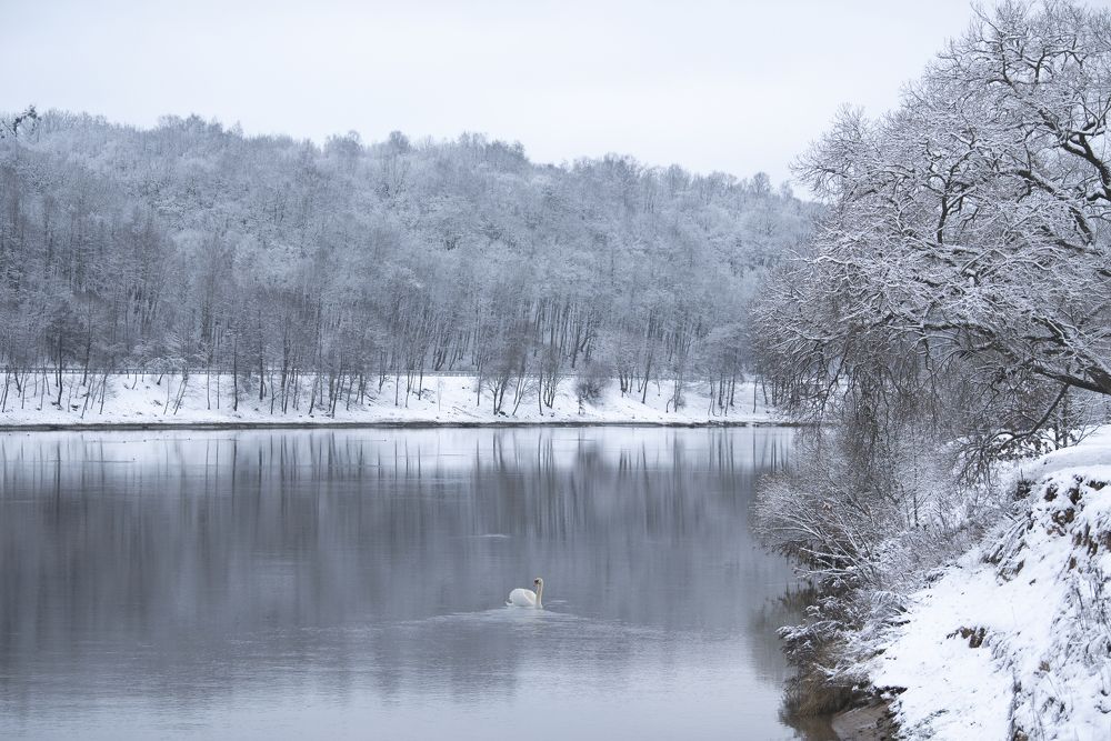 Photograph by Jelena Veršinina