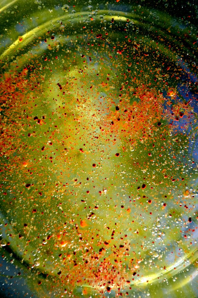 Photograph by Michal Rawski