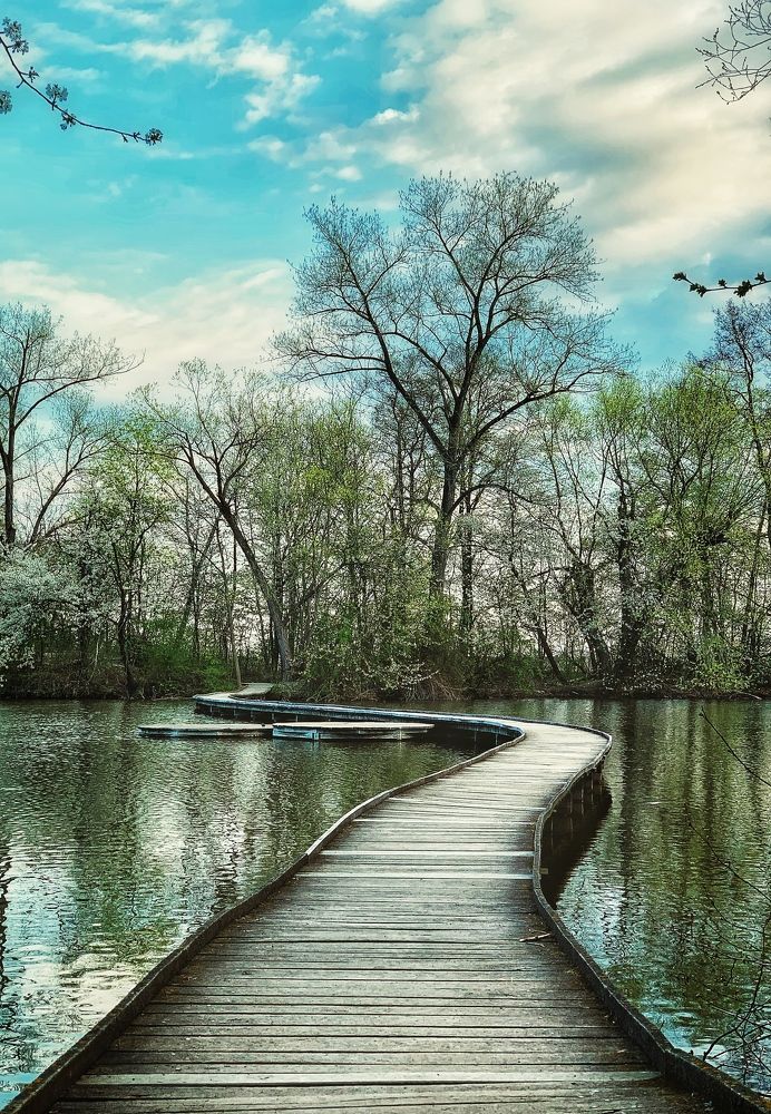 Photograph by Юлия Казакова