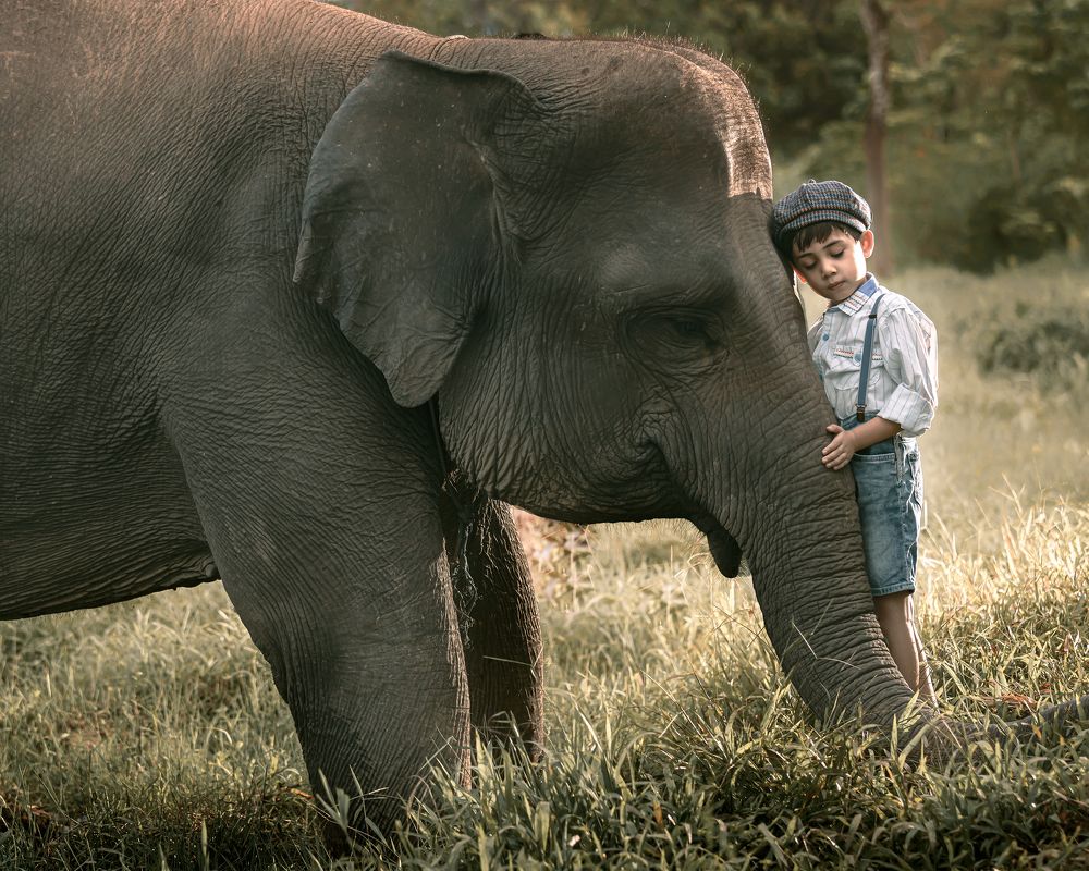 Photograph by Mieke Mieke