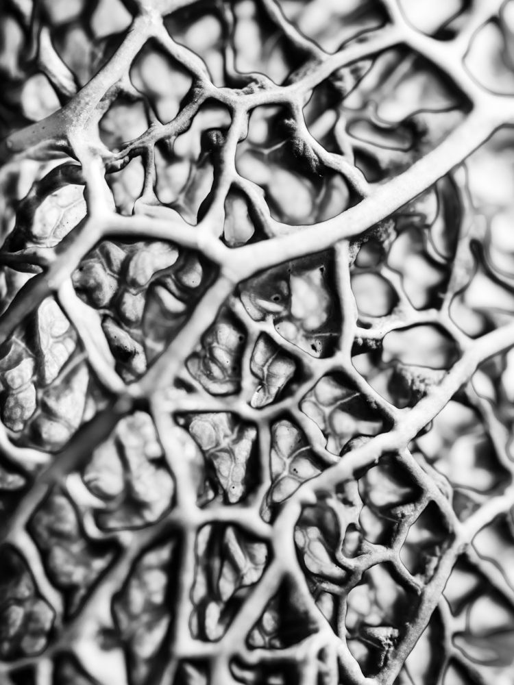 Photograph by Яна Ленчевская