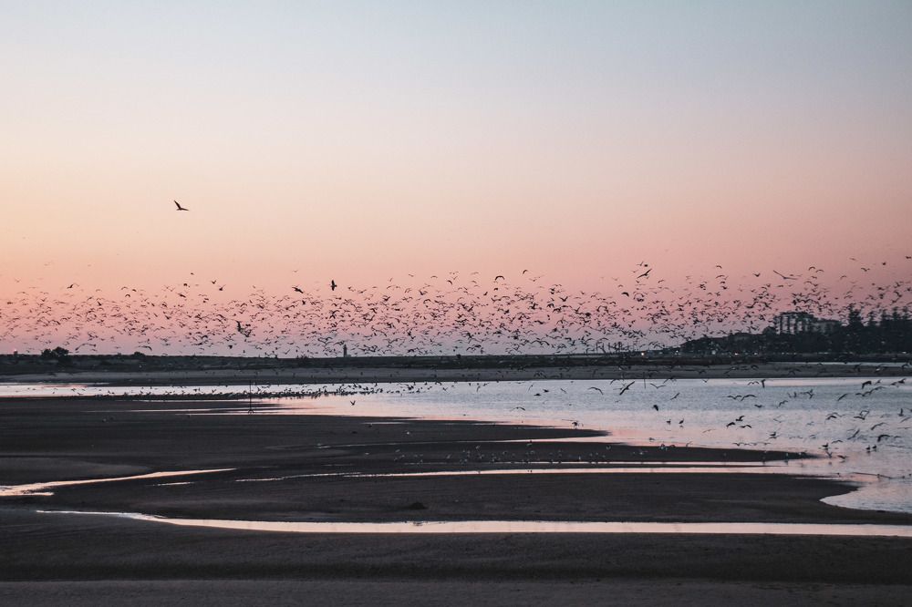 Photograph by Maria Fernanda Martins