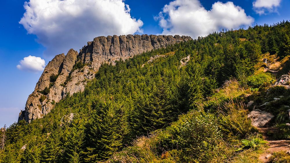 Late summer at Creasta Cocoşului