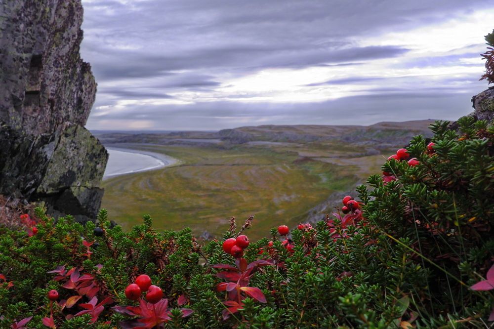 Северное лето