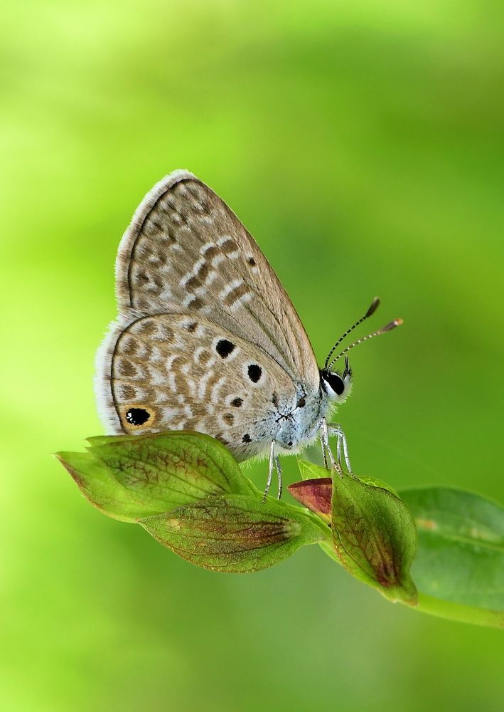 Photograph by Moura Denis