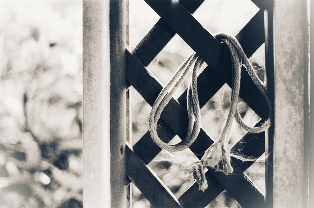 Фотография автора Andrey Pereverzev