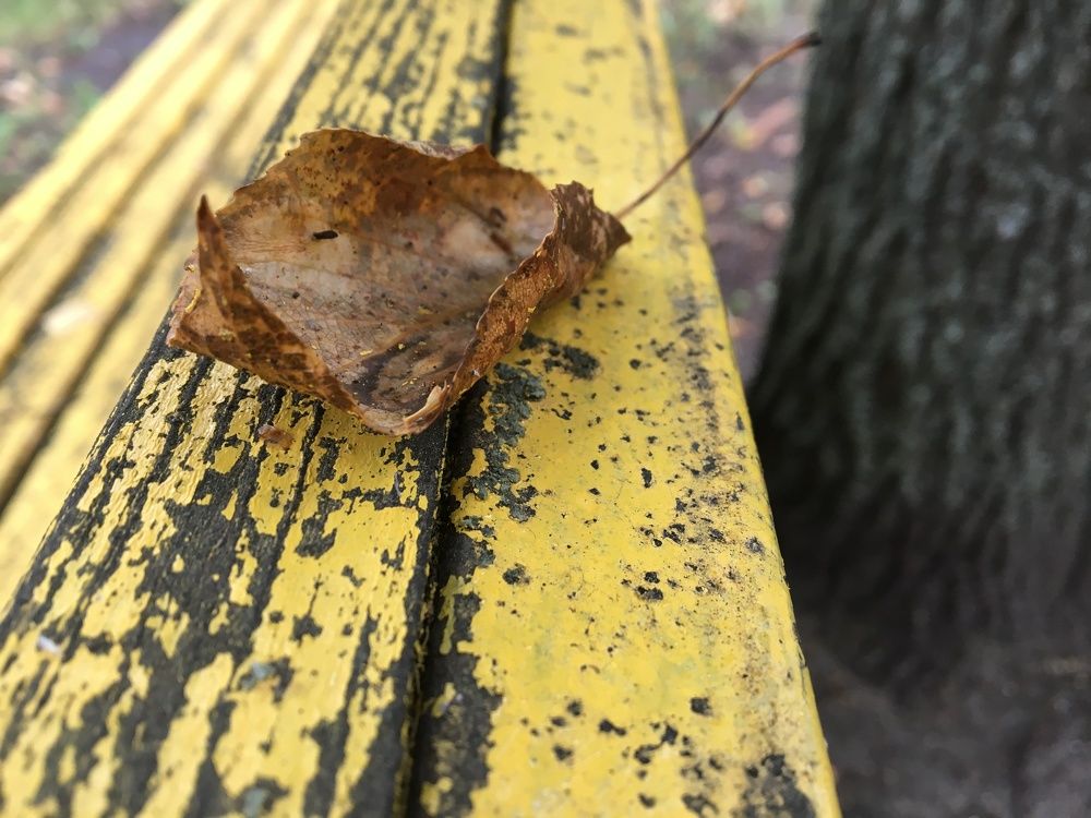 Photograph by Georgy Pesko