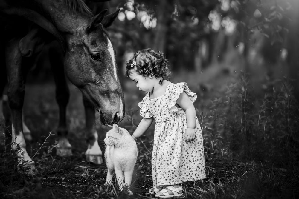 Фотография автора Ana Verdugo