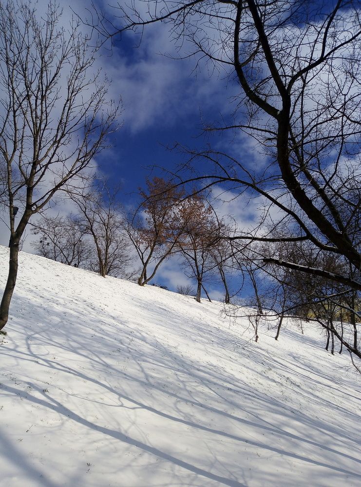 Photo #5784642