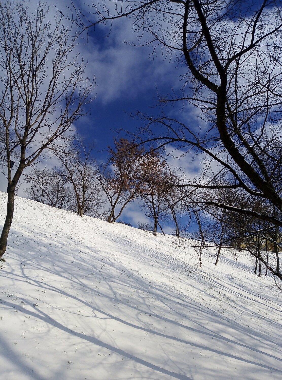Photo #5784642