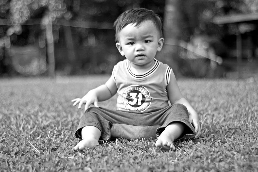 Photograph by Dzebron