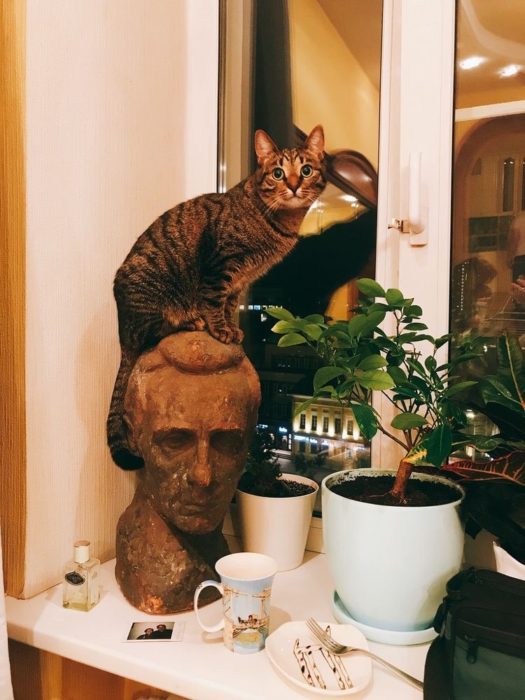 Photograph by Анна Куманцова