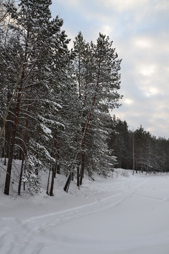 Photograph by Владислав Завальнюк