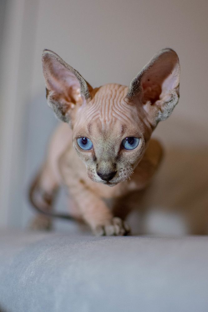 Photograph by Ксения Илюшина