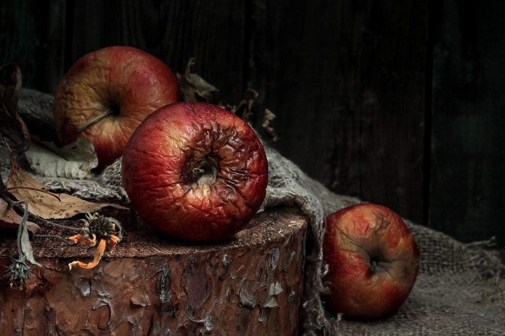 Фотография автора Наталья Соболь