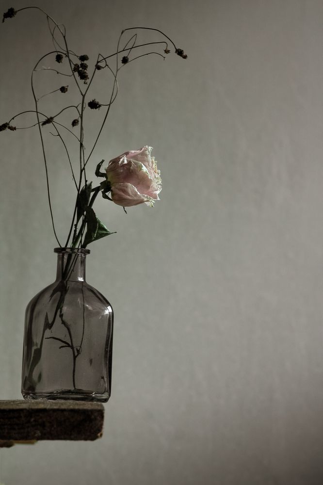 Фотография автора Наталья Соболь