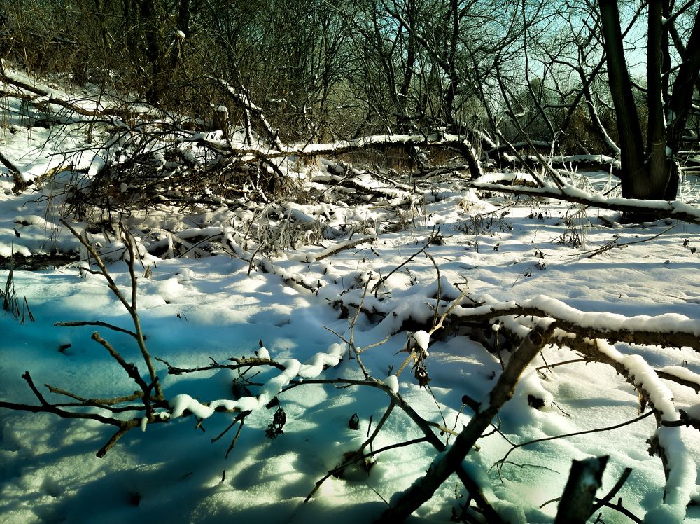 Photograph by Леонид Борисенко