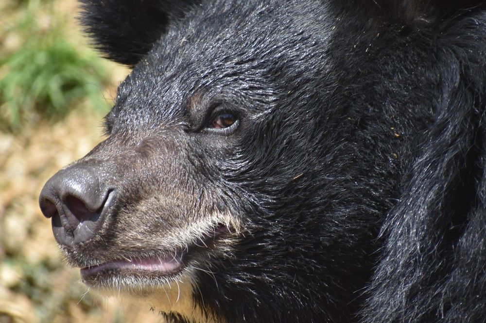 Photograph by Dennis Godin