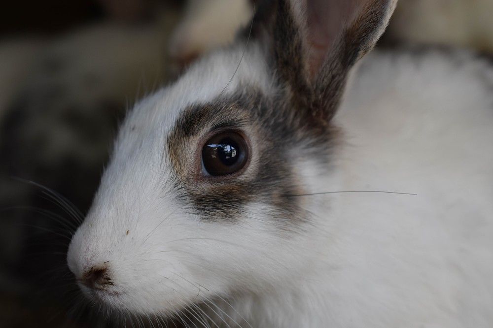 Photograph by Dennis Godin