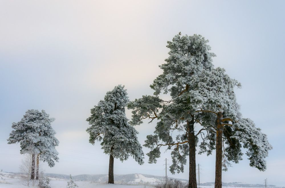 Photograph by Ольга Мукина