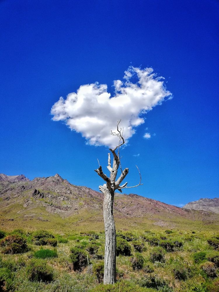 Photograph by Sayyed hassan Mahjoory