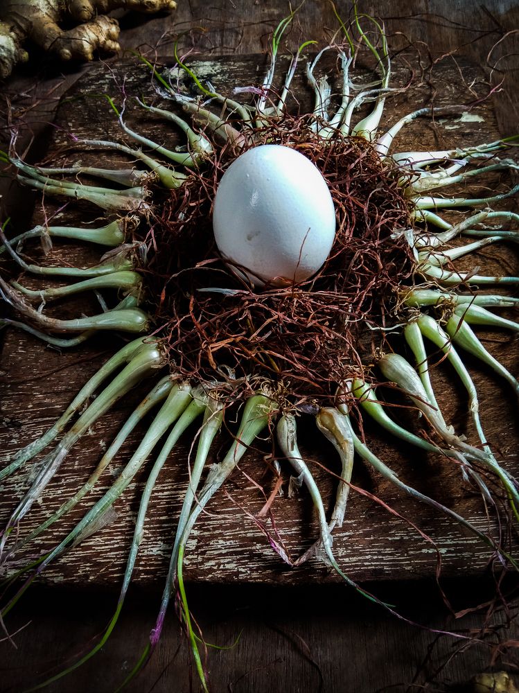 The Beginning of Life