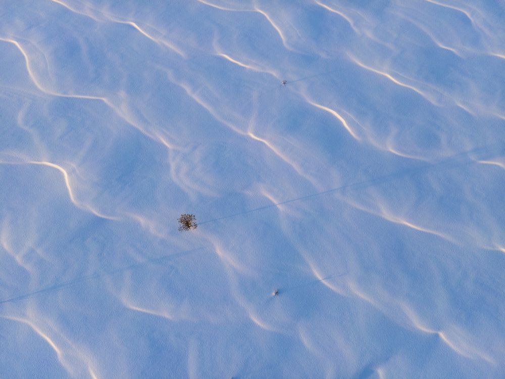 Photograph by Татьяна Борисова