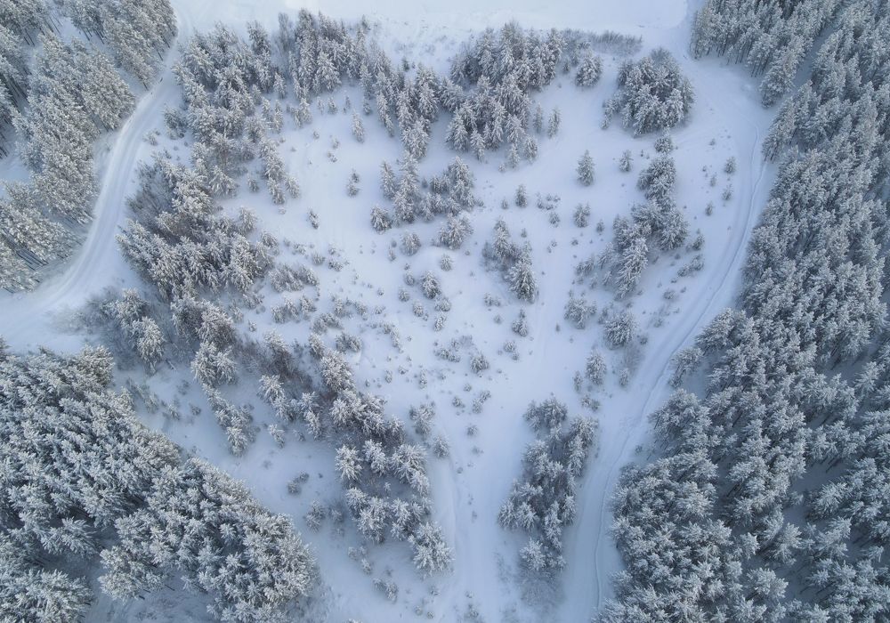 Photograph by Татьяна Борисова