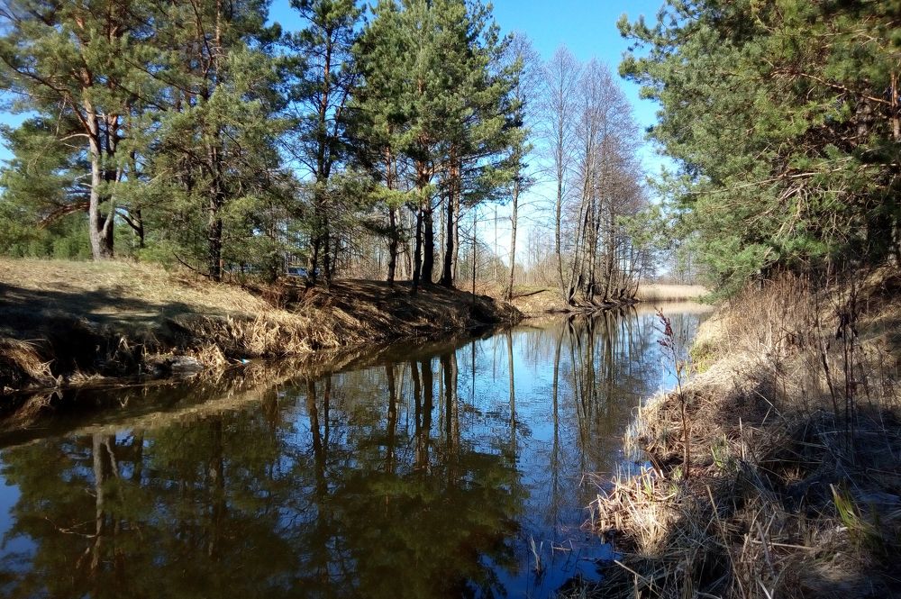 Сказочный февраль