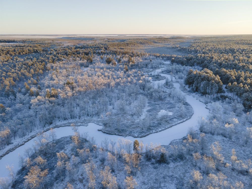 Photograph by Татьяна Борисова