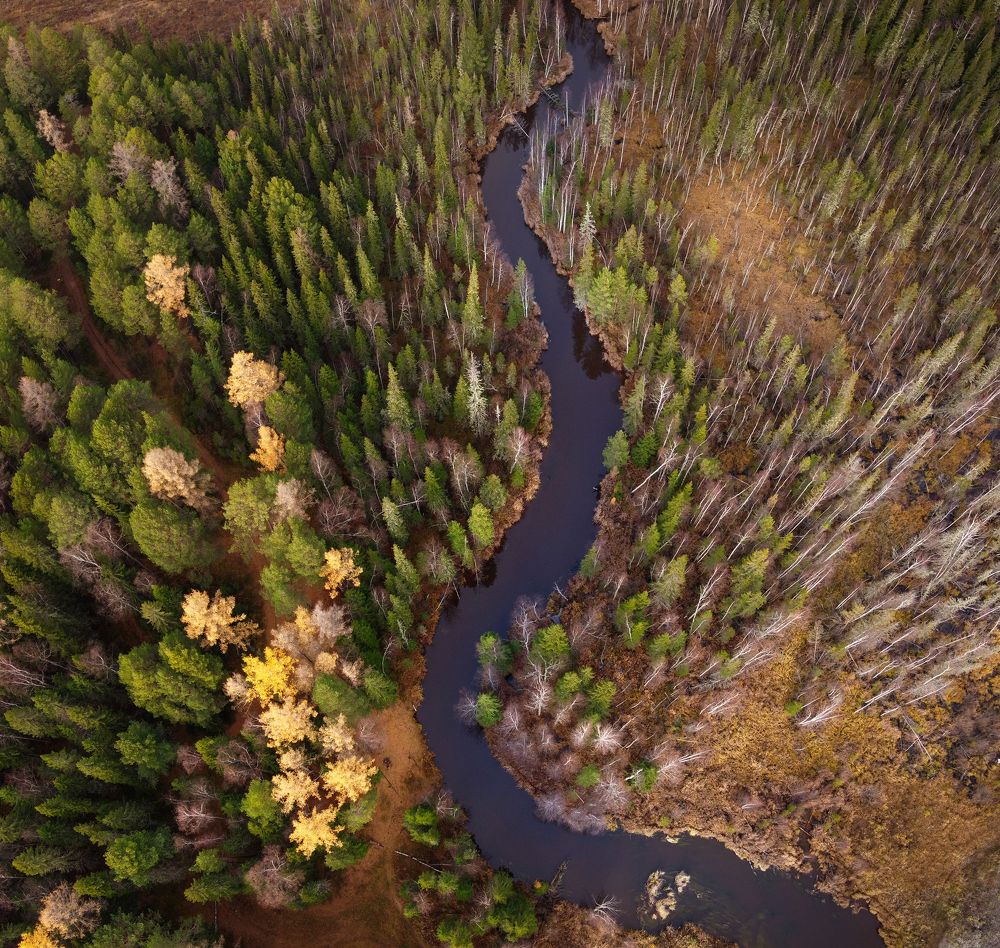 Photograph by Татьяна Борисова