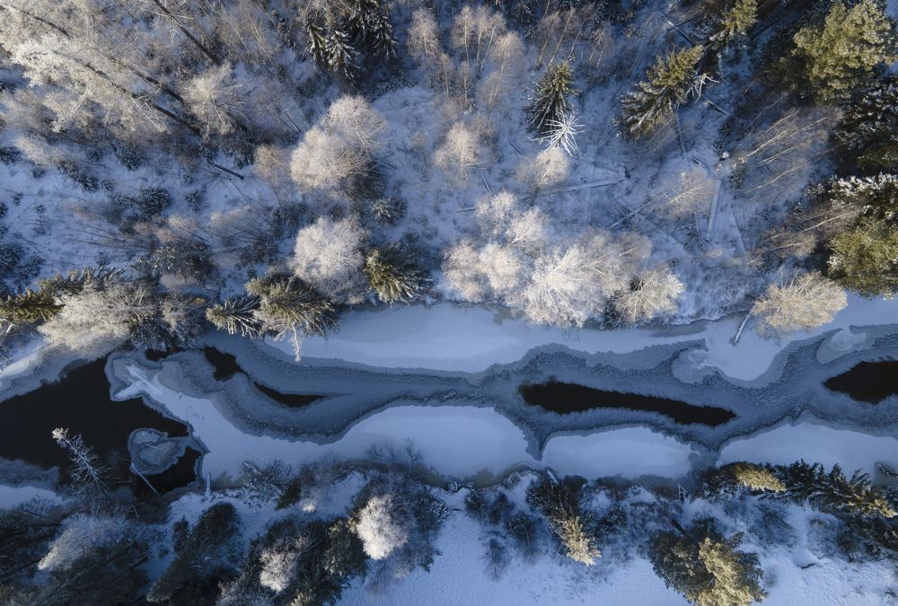 Photograph by Татьяна Борисова