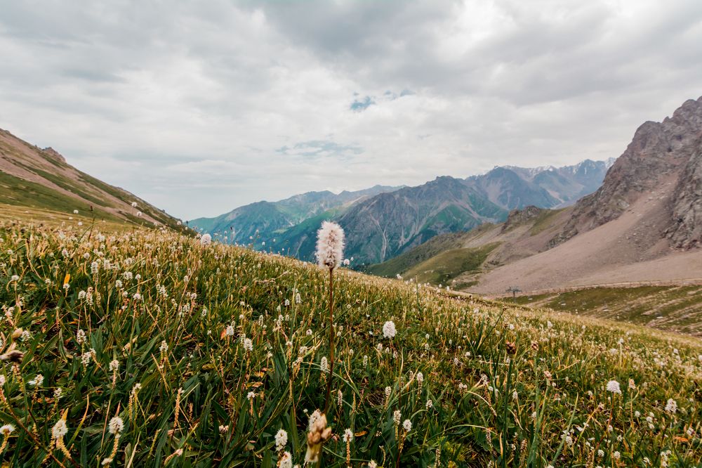 Самый высокий