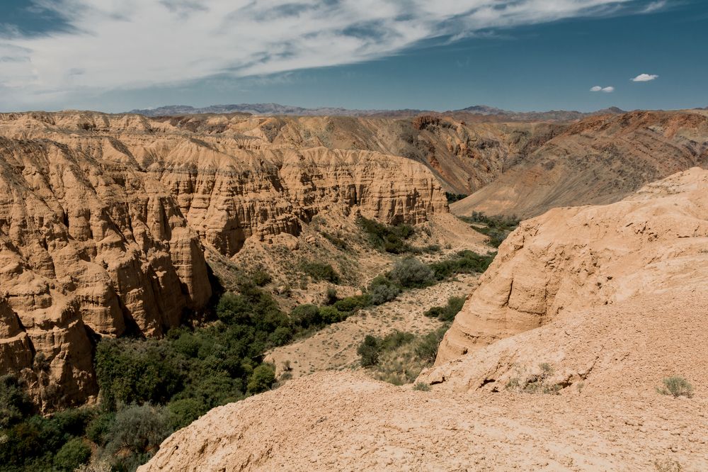 Photograph by Юлия Подлеснова