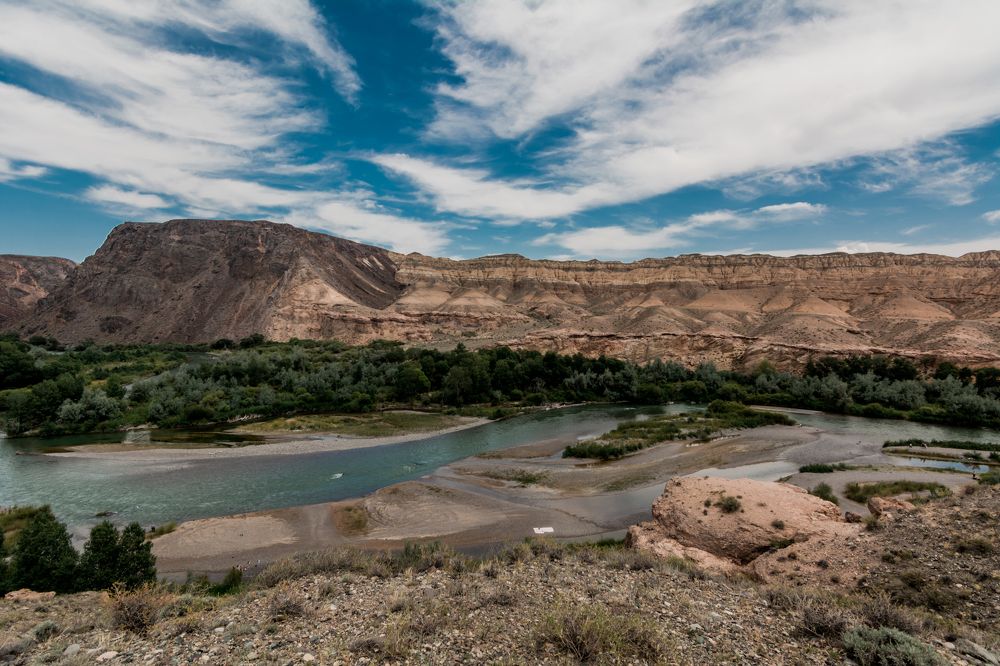 Photograph by Юлия Подлеснова