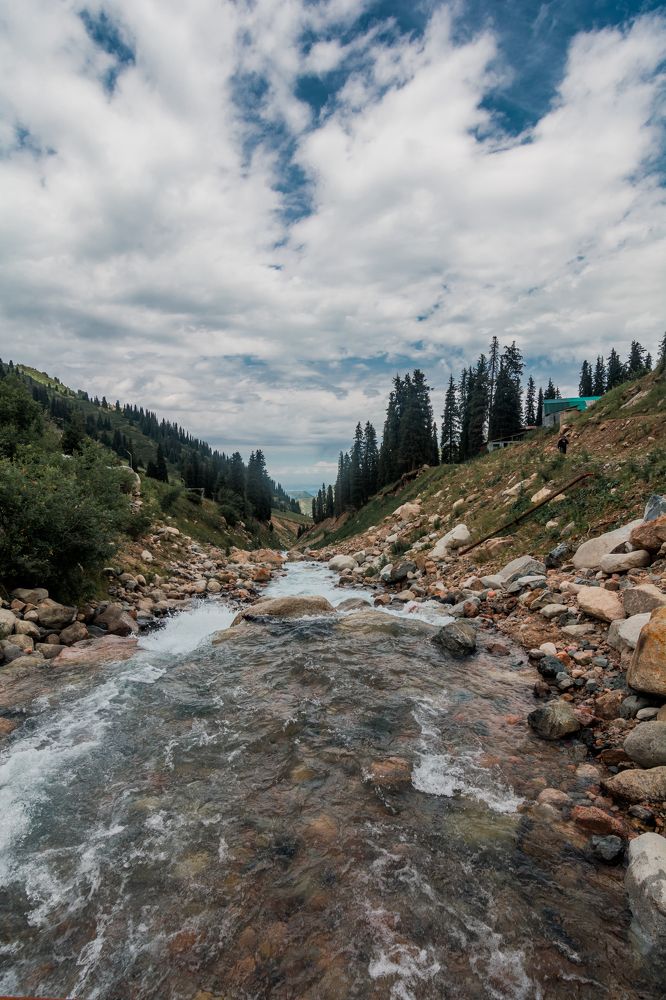 Photograph by Юлия Подлеснова