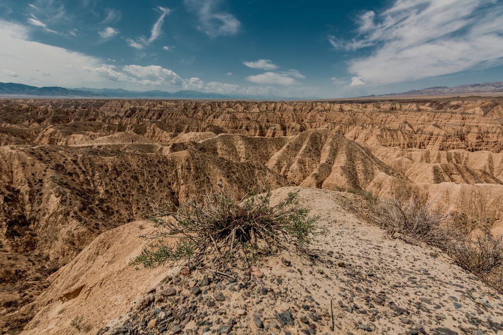 Photograph by Юлия Подлеснова