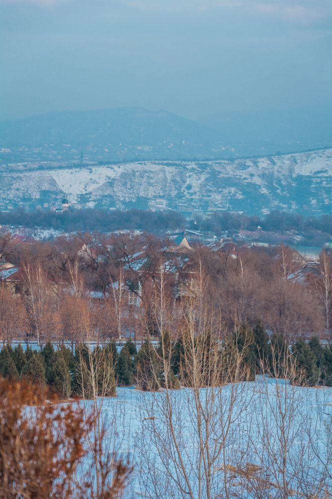 Photograph by Юлия Подлеснова