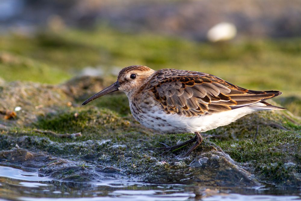 Фотография автора Евгений Гурьевских
