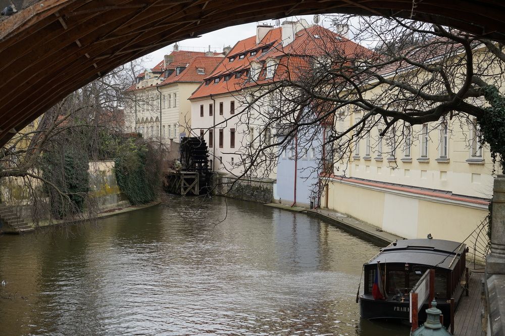 Photograph by Марина Рохлина