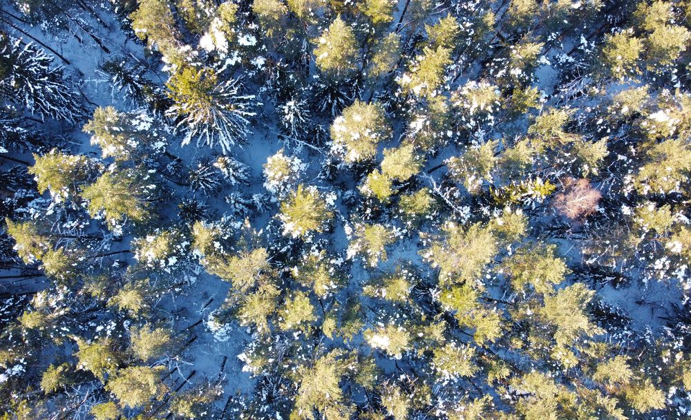 Photograph by Павел Минкевич