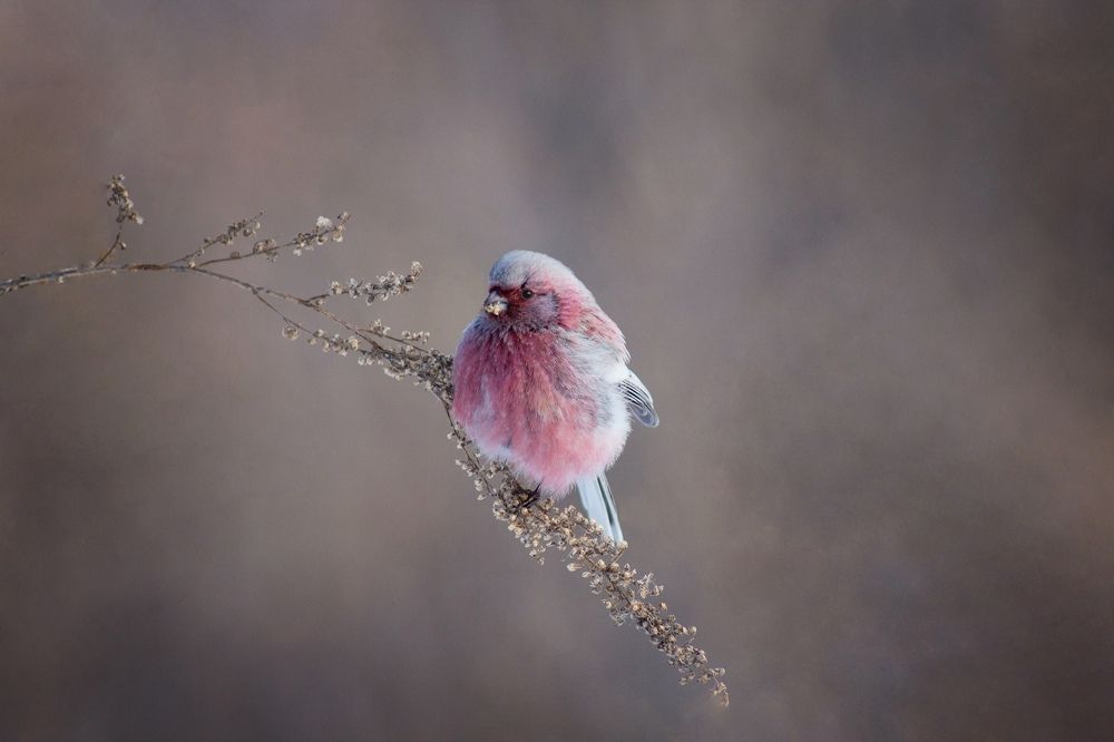 Photograph by Александр Канцур