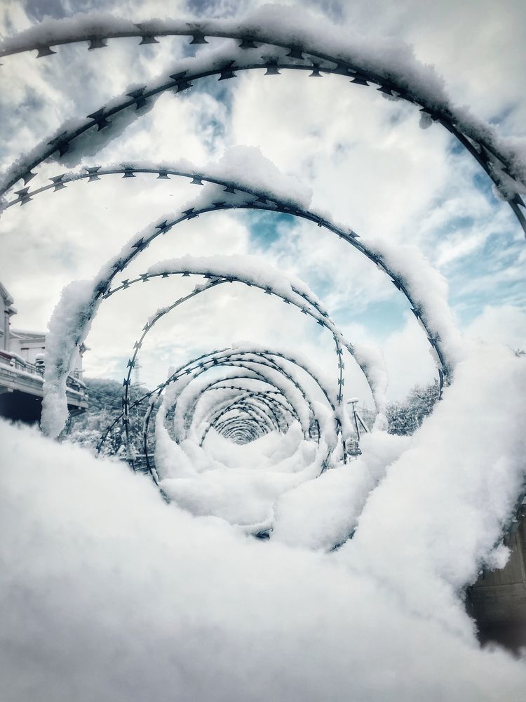 Photograph by Александр Арасланов