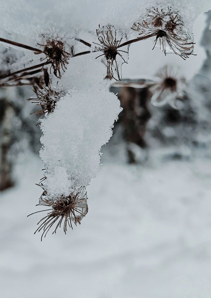 Photograph by Маргарита