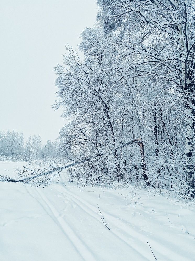 Photograph by Маргарита